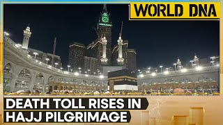 Hajj pilgrimage 2024 1126 pilgrims dead in Saudi heatwave  World DNA  WION [upl. by Hittel111]