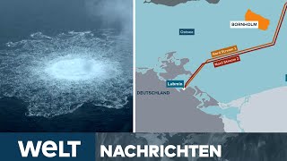 HAFTBEFEHL Verdächtiger Ukrainer Wolodymyr Z wegen NordStreamAnschlag gesucht  WELT LIVESTREAM [upl. by Christie751]