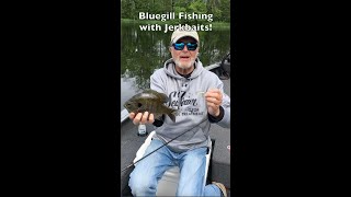 Bluegill Fishing with Jerkbaits🐟shorts [upl. by Hump]