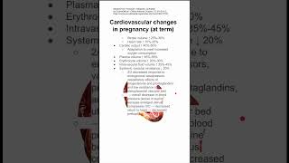 Cardiovascular changes in pregnancy at term [upl. by Yeltneb]