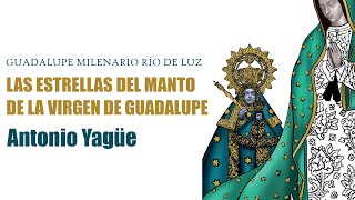 Las estrellas del manto de la Virgen de Guadalupe [upl. by Matilde]