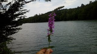 Kamenicko Jezero Raj za ribolovce Kamenica Lake Paradise for fishermen [upl. by Pansy350]