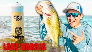 Fishing EVERY Fish Attractor on Lake Harris [upl. by Aener]