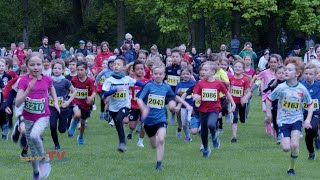 So EINZIGARTIG ist DIESER LAUF I Frohnaulauf 2024 [upl. by Groves]