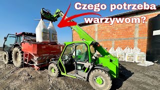 761 Wapnowanie gleb pod warzywa Co nowego będziemy uprawiać w tym roku Wapń a Ph wyjaśniam [upl. by Annawak]