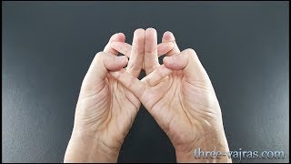 Crown Chakra Mandala Sahasrara Mudra Variations Tutorial  Three Vajras [upl. by Aerdnod]