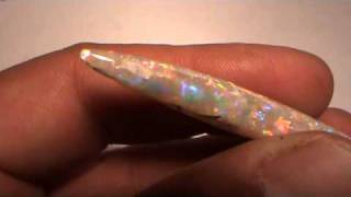 OPALIZED BELEMNITE FLASHFIREOPALS [upl. by Ertsevlis164]