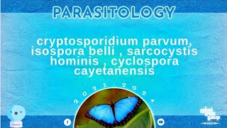 SDLL8 part1 cryptosporidium parvumisospora belli  sarcocystis hominis cyclospora Parasitology [upl. by Roshan]