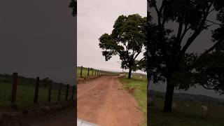 Estradinha de Terra youtube goais short estrada rural agro brasil [upl. by Auoy260]