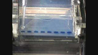 Gel loading and electrophoresis [upl. by Eelinej]