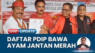 George Hadjoh Daftar Jadi Calon Wali Kota Kupang Datang Pakai Busana Adat amp Bawa Ayam Jantan Merah [upl. by Ikkaj]