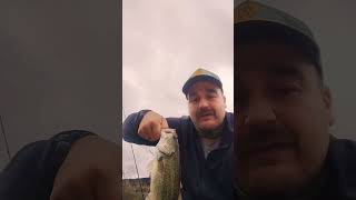 Chicago River Bass  North shore channel on a Ned rig tube [upl. by Oaoj]