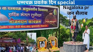 Nagpur ke Nagaloka me aaya Bhimsailaab🙏💙  Dhammachakra Pravartak Din special 🤍 [upl. by Allez705]