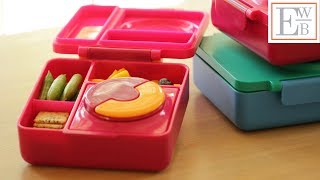 3 Lunchbox Ideas featuring Leftovers [upl. by Atteloj]