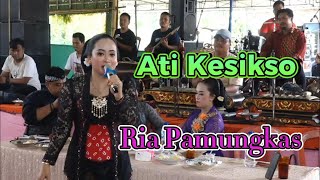 Ati Kesikso Ria Pamungkas Javanese Gamelan Music Campursari [upl. by Navaj]