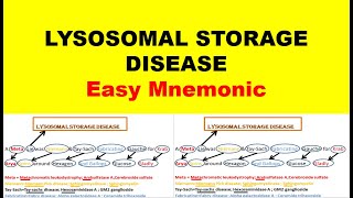 Lysosomal Storage Disease  Mnemonic  Remember Lysosomal Disorders in 2 Minutes [upl. by Lissi]