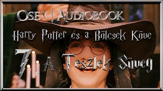 Harry Potter és a Bölcsek Köve hangoskönyv  7 fejezet [upl. by Rossie]