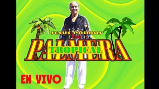 🔥Palmera Tropical Jesús palmas audio en vivo 2019 [upl. by Mccollum918]