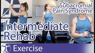 Subacromial Pain Syndrome SAPS  Intermediate Subacute Phase Rehab [upl. by Demetris]