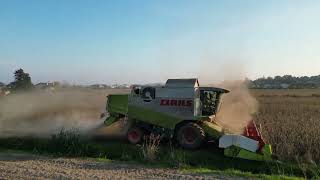 Claas Lexion 420  Tucano 430 soia 2024 [upl. by Aifoz325]