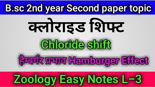 क्लोराइड शिफ्ट हैम्बर्गर प्रभाव  L3  Shift Chloride Hamburger Effect Zoology second paper [upl. by Abijah]