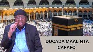 ducada maalinta carafa  shiikh xasan jaamici [upl. by Arrad]