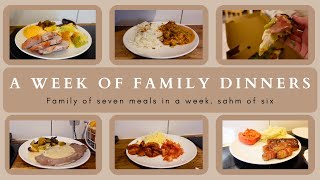 WEEK 56 FAMILY DINNERS OF THE WEEK  family of eight evening meal ideas meal plan🍝🥙 [upl. by Elem]