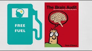 THE BRAIN AUDIT  WHY CUSTOMERS BUY AND WHY THEY DONT BY SEAN DSOUZA  ANIMATED BOOK SUMMARY [upl. by Sari836]