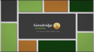 Goresbridge Go for Gold 2017  The Select Event Horse Sale [upl. by Woo]