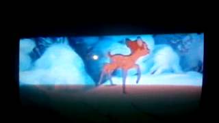 Bambi walks on the snow [upl. by Avie]