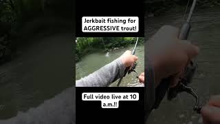 Jerkbait fishing with the rapala countdown elite troutfishing [upl. by Etnuahc]