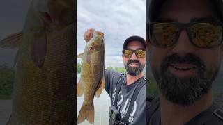 Nice Smallmouth on the Underspin susquehannariver [upl. by Quickman]