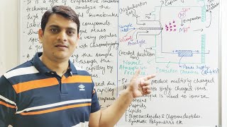 Part 10 Mass Spectrometry  Electrospray Ionization  ESI Technique [upl. by Anay]