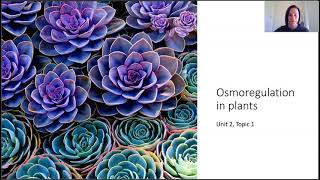 Osmoregulation in plants [upl. by Westlund]