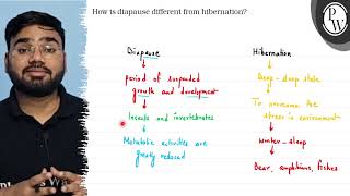 How is diapause different from hibernation Diapause Hibernation pe [upl. by Lilla]