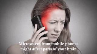 Applications and Dangers of Electromagnetic Waves [upl. by Ahsinirt675]