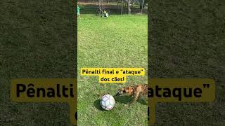 Pênalti final e “ataque” dos cães futebol goleiro parcao [upl. by Ainel887]