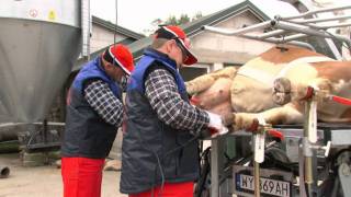 KOREKCJA RACIC w Całej Polsce Agro Test Marek Galiczak [upl. by Sholley]