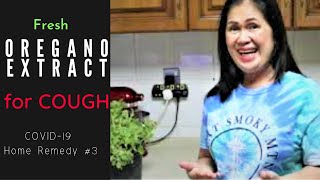 How to Make Fresh Oregano Extract For Cough [upl. by Vincelette836]