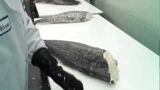 HOUSECUT certified  MSC Chilean Sea Bass filleted [upl. by Gunas183]