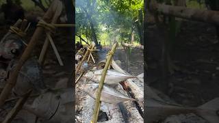 Ikan Bakar Terbang 😮 Bonus Pria Tampan di akhir vidio 😄 shorts [upl. by Naitirb]