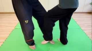 Wing Tsun Chi Gerk  BWTA [upl. by Girhiny]