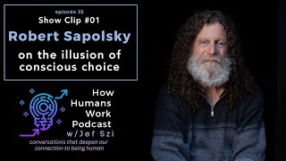 Robert Sapolsky on the Illusion of Conscious DecisionMaking [upl. by Hamian]