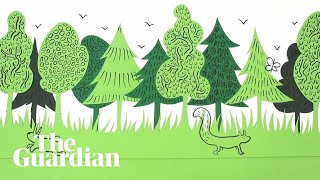 Rewilding made simple an animated guide [upl. by Veronike]