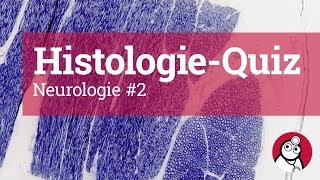 DocCheck HistologieQuiz Neurologie 2 [upl. by Ahsiliw]