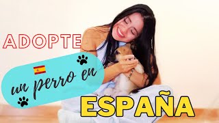 Mi EXPERIENCIA Adoptando un CACHORRO en ESPAÑA 🇪🇸 [upl. by Nertie]