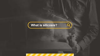 What is silicosis Professor Malcolm Sim [upl. by Sidonie384]