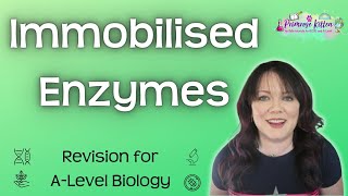 Immobilised Enzymes  Revision for Biology ALevel [upl. by Zusman178]