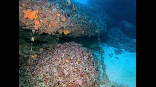 Ta Cenc Cliffs Dive In Malta [upl. by Arella]