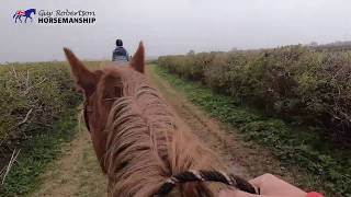 Trouble Free Trail Riding with Guy Robertson Horsemanship [upl. by Graig136]